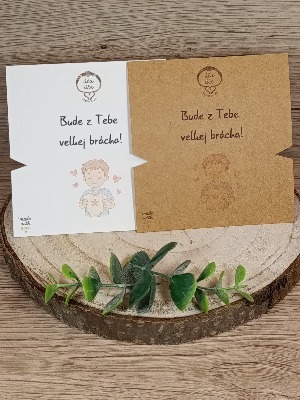 Bude z Tebe velkej brácha!